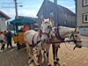 Frhlingsfest Sportverein Brnn 01.05.2022