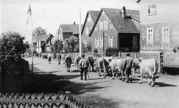 Hildburghuser Strasse 04 - GIF