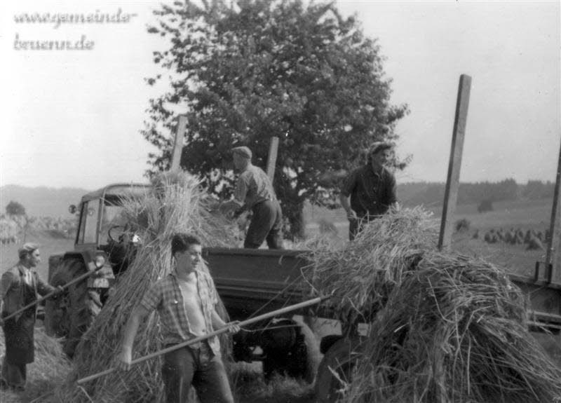 Feldarbeit