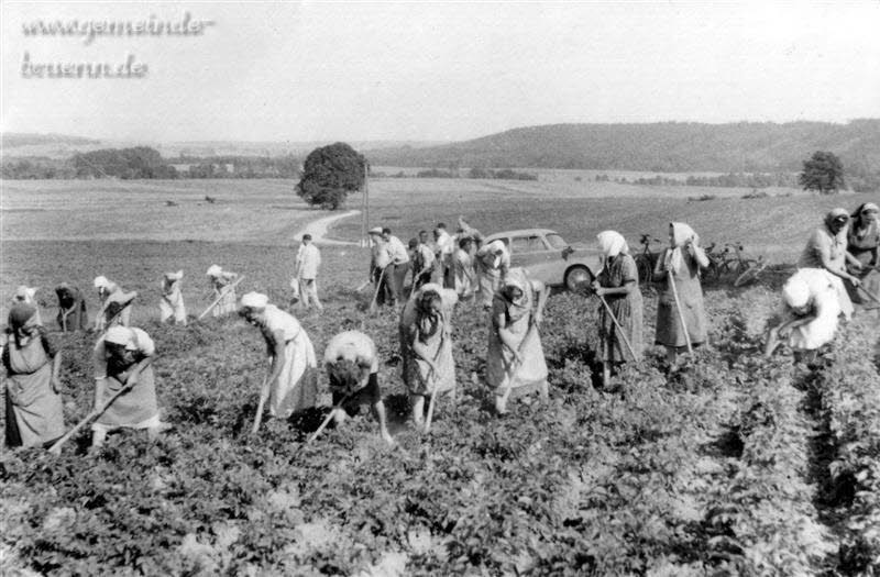 Feldarbeit