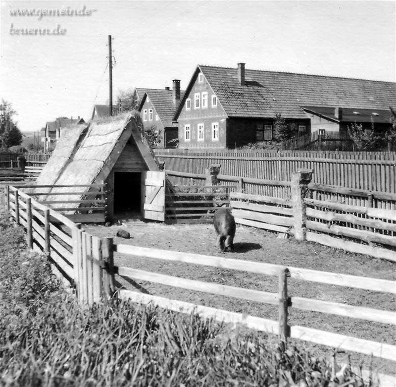 Hildburghuser Strasse