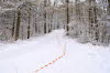 20100226_14