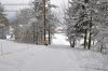 20100226_16