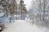 20100226_18