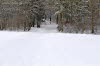 20100226_41