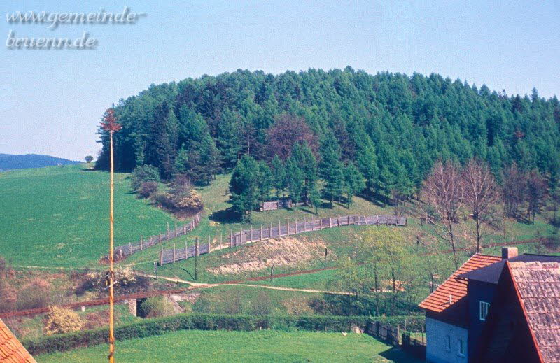 Blick vom Stetenrangen zur Linde