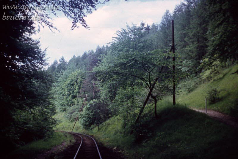 Bahnstrecke und Waldweg am Kirchberg