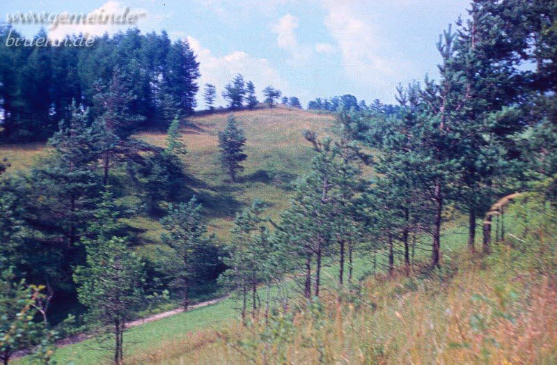Todenweg nach Crock
