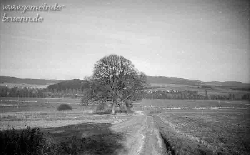 Blick von der Hormes aus