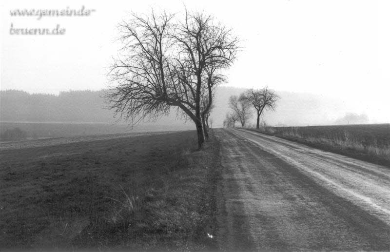 Bilder von 1986,1987