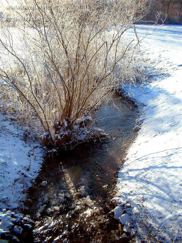 Br�nna (Blick von der Crocker Stra�e aus)