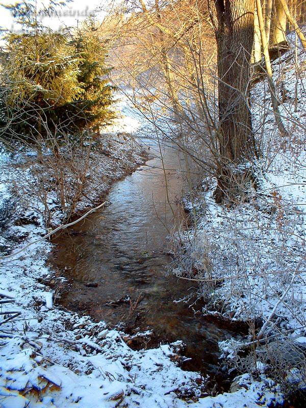 Br�nna (Nebenzuflu�-M�hlteich)