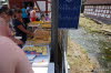 DSC00971