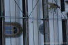 DSC01673