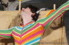 DSC02188