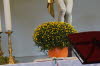 DSC03089
