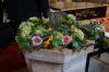 DSC03267