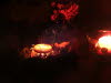 DSCN1177