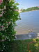 IMG-20180607-WA0010