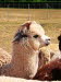 IMG-20180607-WA0014