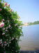 IMG-20180607-WA0015