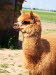 IMG-20180607-WA0031