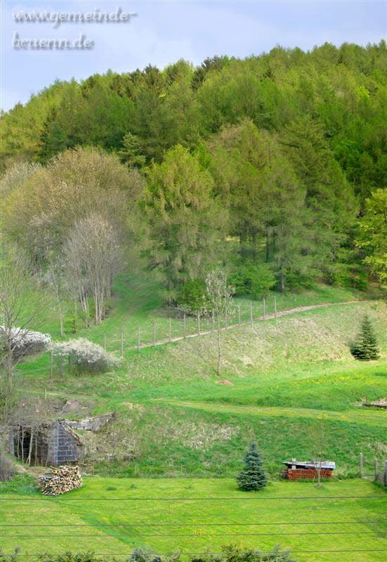 Blick vom Stetenrangen zur Linde