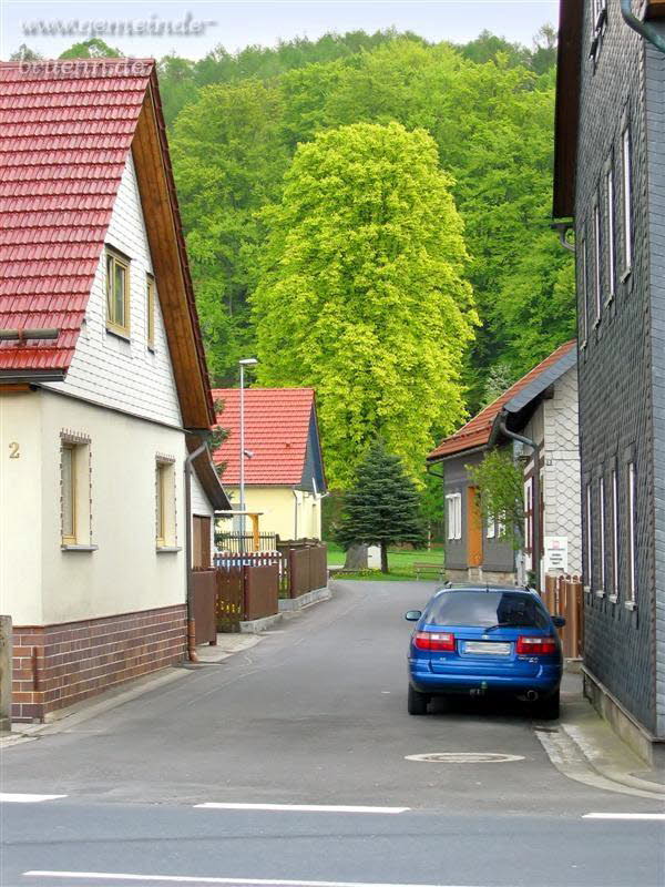 Strasse zur gr�nen Wiese