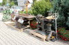 700 Jahr Feier - Offene Hfe