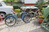 700 Jahr Feier - Offene Hfe