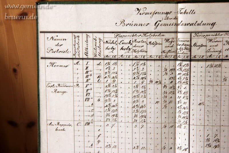 700 Jahr Feier - Offene Hfe