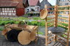 700 Jahr Feier - Offene Hfe