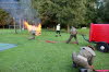 Gottesdienst, Frhschoppen, Feuerwehrbung, Feuerwerk