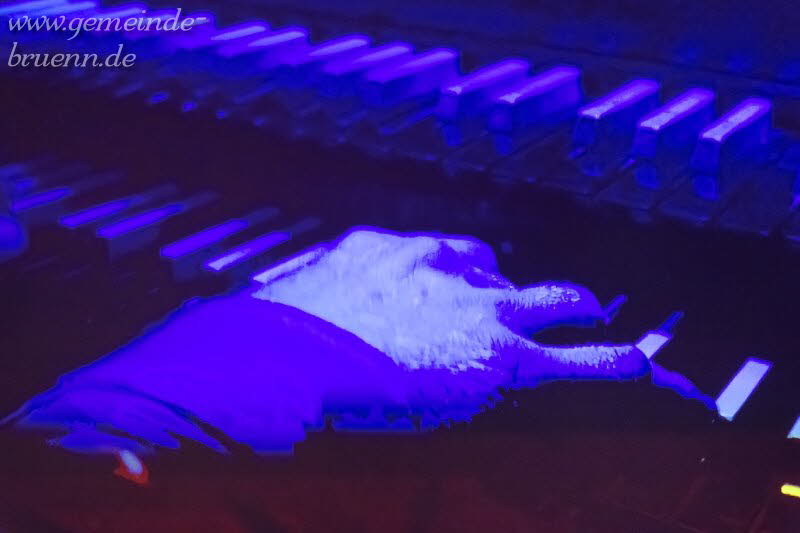 Starligths Orgelshow 05.12.2025