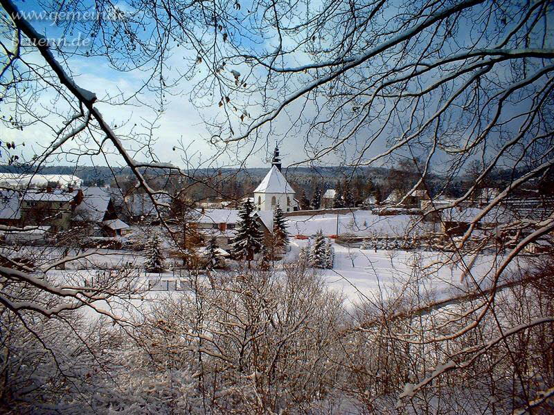 Kirche (Blick vom Waldweg Br�nner Berg aus)