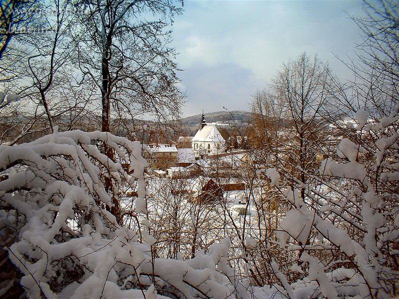 Kirche (Blick vom Waldweg Br�nner Berg aus)