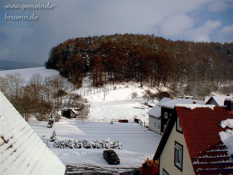 Die Linde (Blick vom Stetenrangen aus)