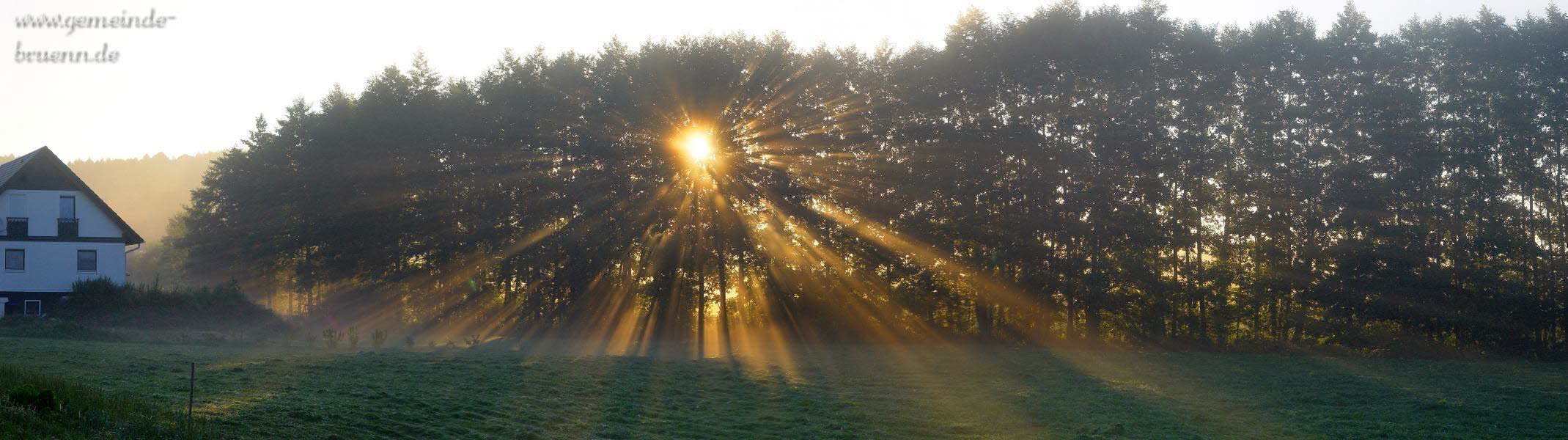 Nebel in der Hildburgh�user Strasse