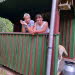 WhatsApp Image 2020-06-29 at 16