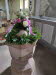 WhatsApp Image 2021-07-12 at 19